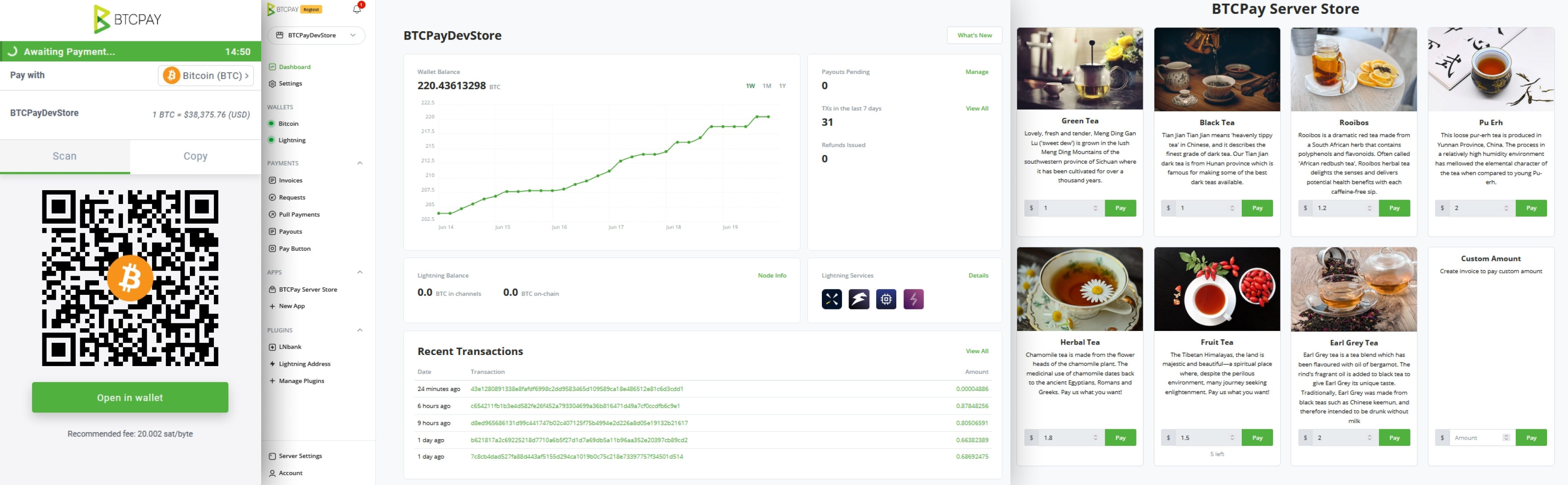 BTCPay Server screenshot